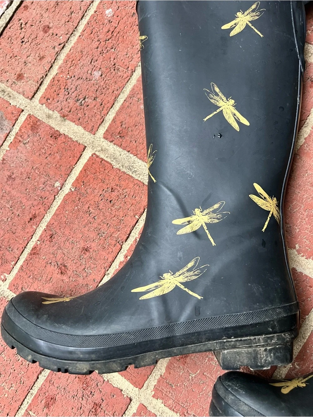 Joules Women’s Welly Black Rain boots with Gold Dragonflies size 9